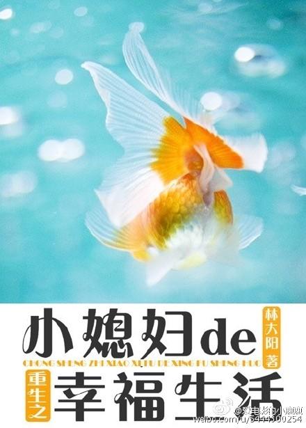 重生之小媳妇新浪